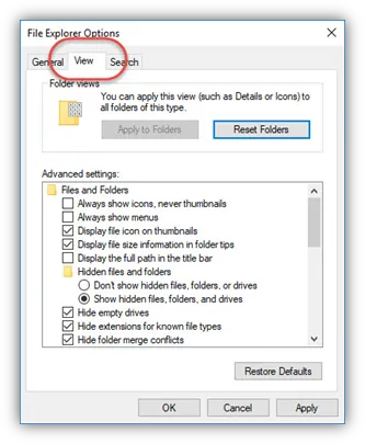 view tab file explorer option